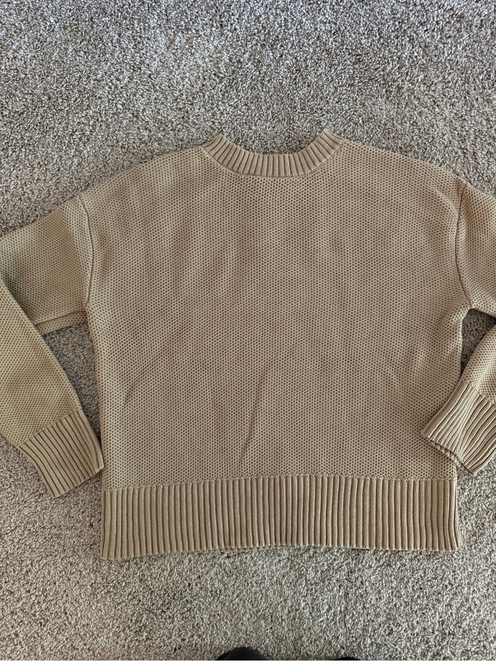 Everlane Cotton Honeycomb Square Crew Sweater in Khaki